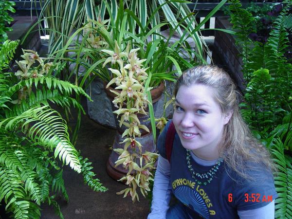 Lauren McCain Lauren McCain